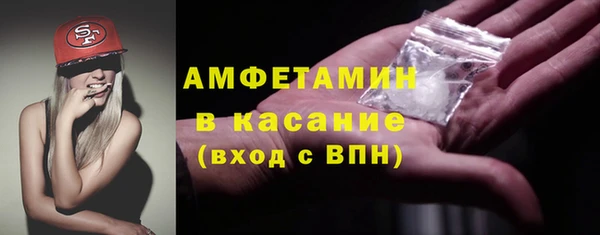 прущие грибы Белокуриха