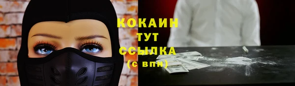 прущие грибы Белокуриха