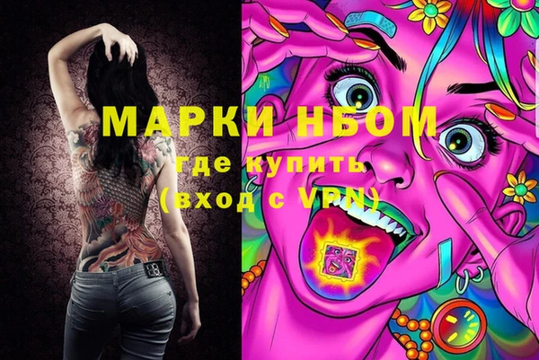 прущие грибы Белокуриха