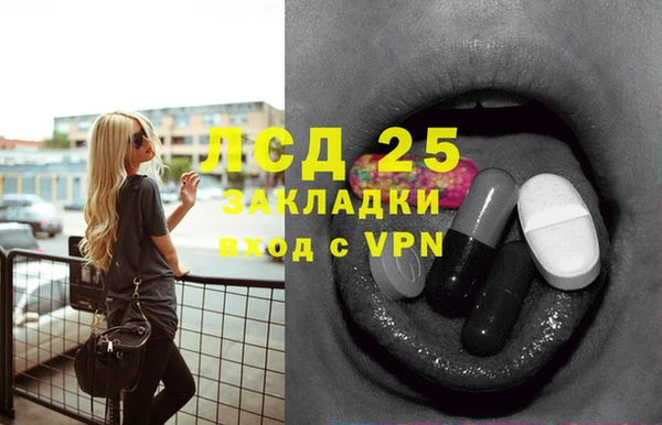 прущие грибы Белокуриха