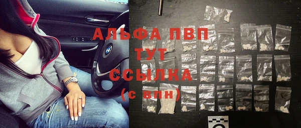 прущие грибы Белокуриха