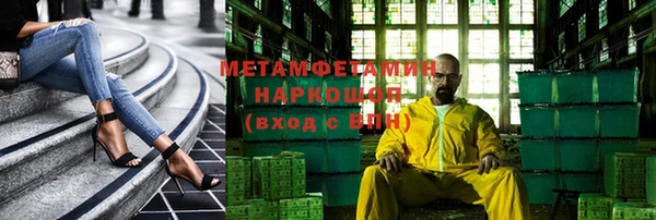 прущие грибы Белокуриха