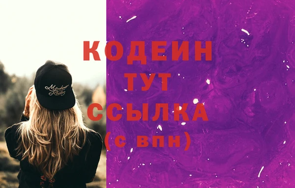 прущие грибы Белокуриха